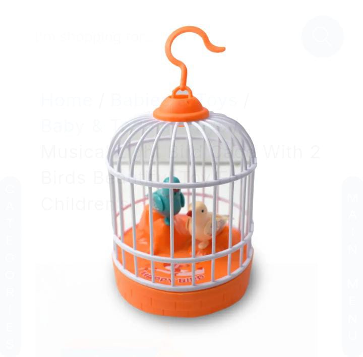 Musical Light Bird Cage With 2 Birds Beautiful Toy For Children’s with Free Delivery